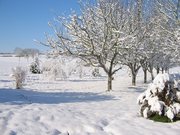 campagne enn&eacute;ig&eacute;e